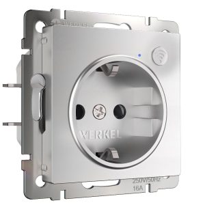 Умная встраиваемая розетка Werkel с Wifi, заземлением и шторками Серебряный W1171606