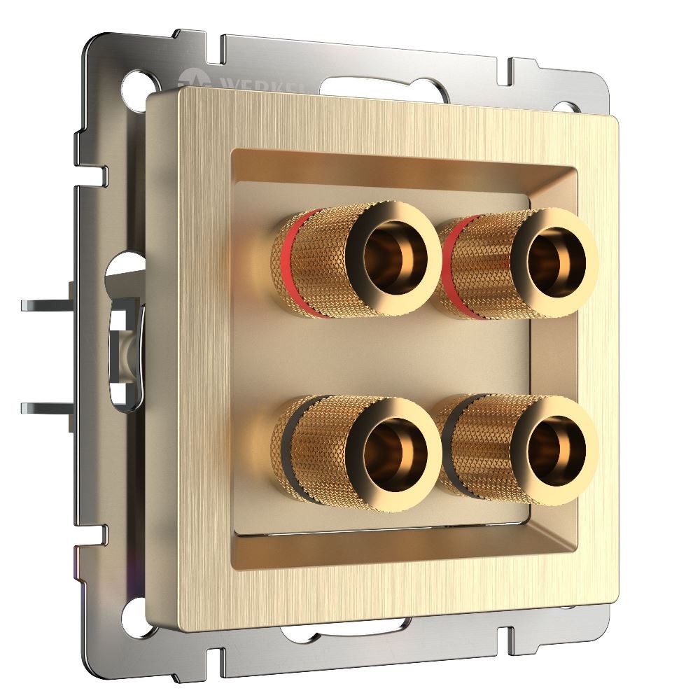 Акустическая розетка встраиваемая Werkel Шампань рифленый W1185010