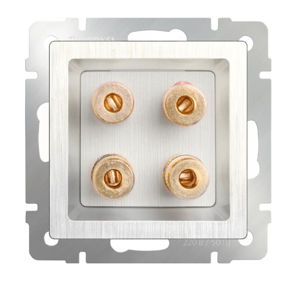 Акустическая розетка встраиваемая Werkel Перламутровый рифленый W1185013